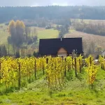 Holiday home Utopia Dom Przy Winnicy