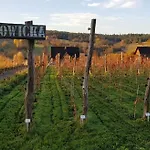 Holiday home Utopia Dom Przy Winnicy