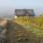 Utopia Dom Przy Winnicy *