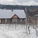 Utopia Dom Przy Winnicy Holiday home