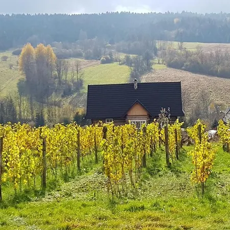 Ferienhaus Utopia Dom Przy Winnicy