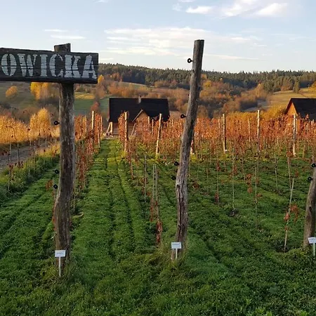 Ferienhaus Utopia Dom Przy Winnicy