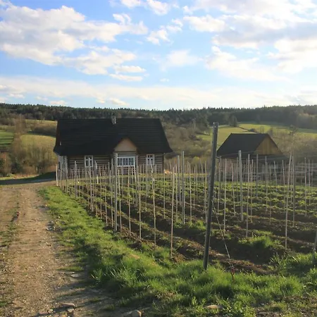 Utopia Dom Przy Winnicy Ferienhaus