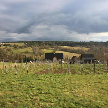 Utopia Dom Przy Winnicy