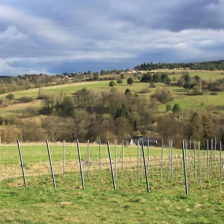 Utopia Dom Przy Winnicy Prázdninový dům Nowica