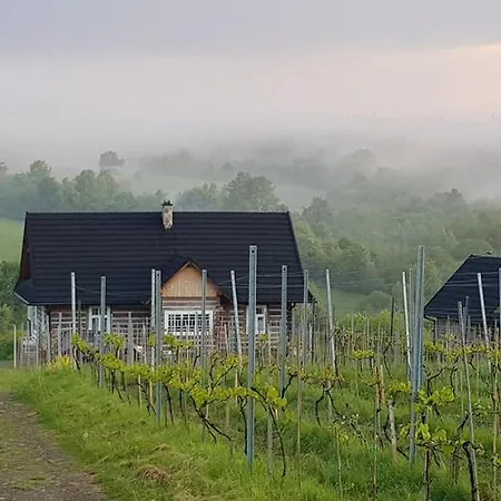 Utopia Dom Przy Winnicy Nowica