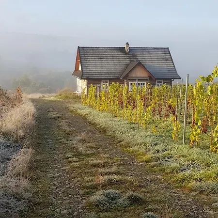 Utopia Dom Przy Winnicy *