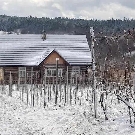 Utopia Dom Przy Winnicy Ferienhaus