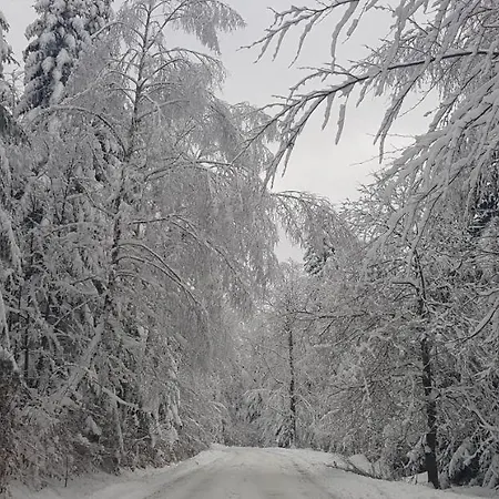 Prázdninový dům Utopia Dom Przy Winnicy