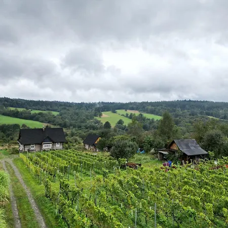 Dom wakacyjny Utopia Dom Przy Winnicy