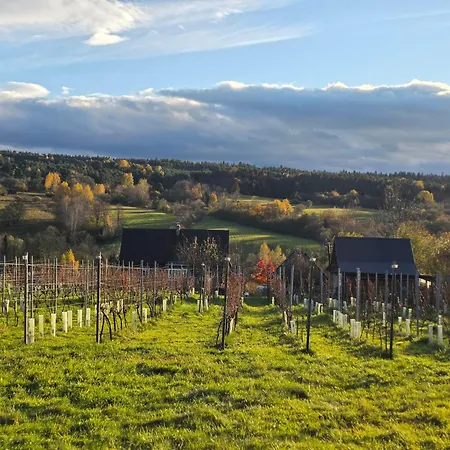 Utopia Dom Przy Winnicy *