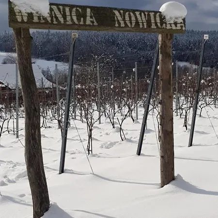 Utopia Dom Przy Winnicy Ferienhaus *