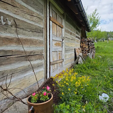 Utopia Dom Przy Winnicy