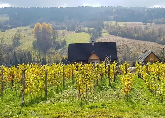 Dom wakacyjny Utopia Dom Przy Winnicy