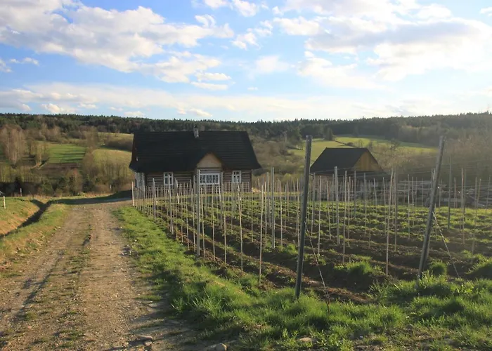 Utopia Dom Przy Winnicy Dom wakacyjny