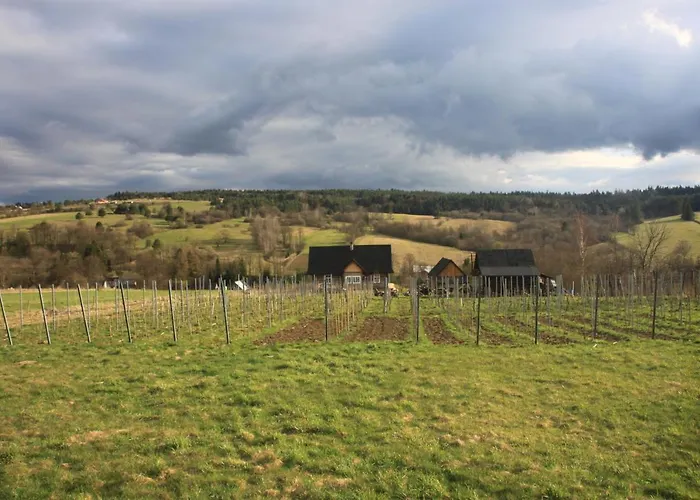 Utopia Dom Przy Winnicy