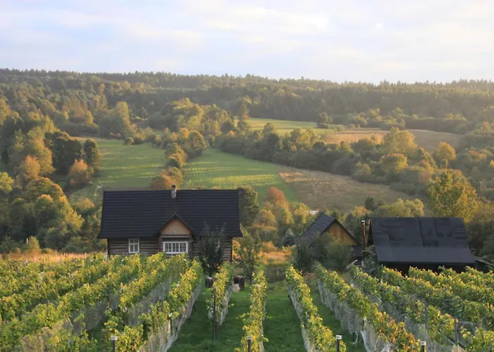 Utopia Dom Przy Winnicy Дом отдыха *