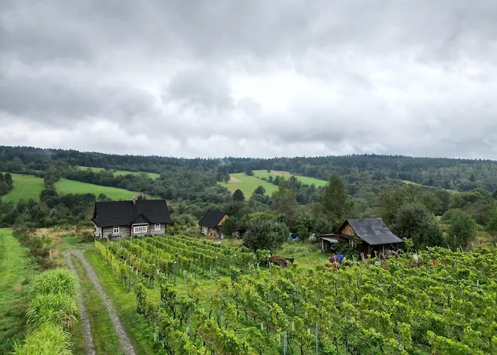 Dom wakacyjny Utopia Dom Przy Winnicy