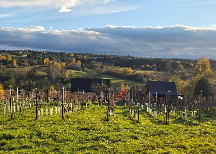 Utopia Dom Przy Winnicy *